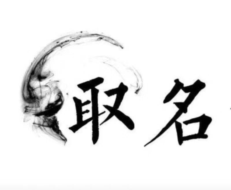  高港宝宝取名 大师一对一人工起名